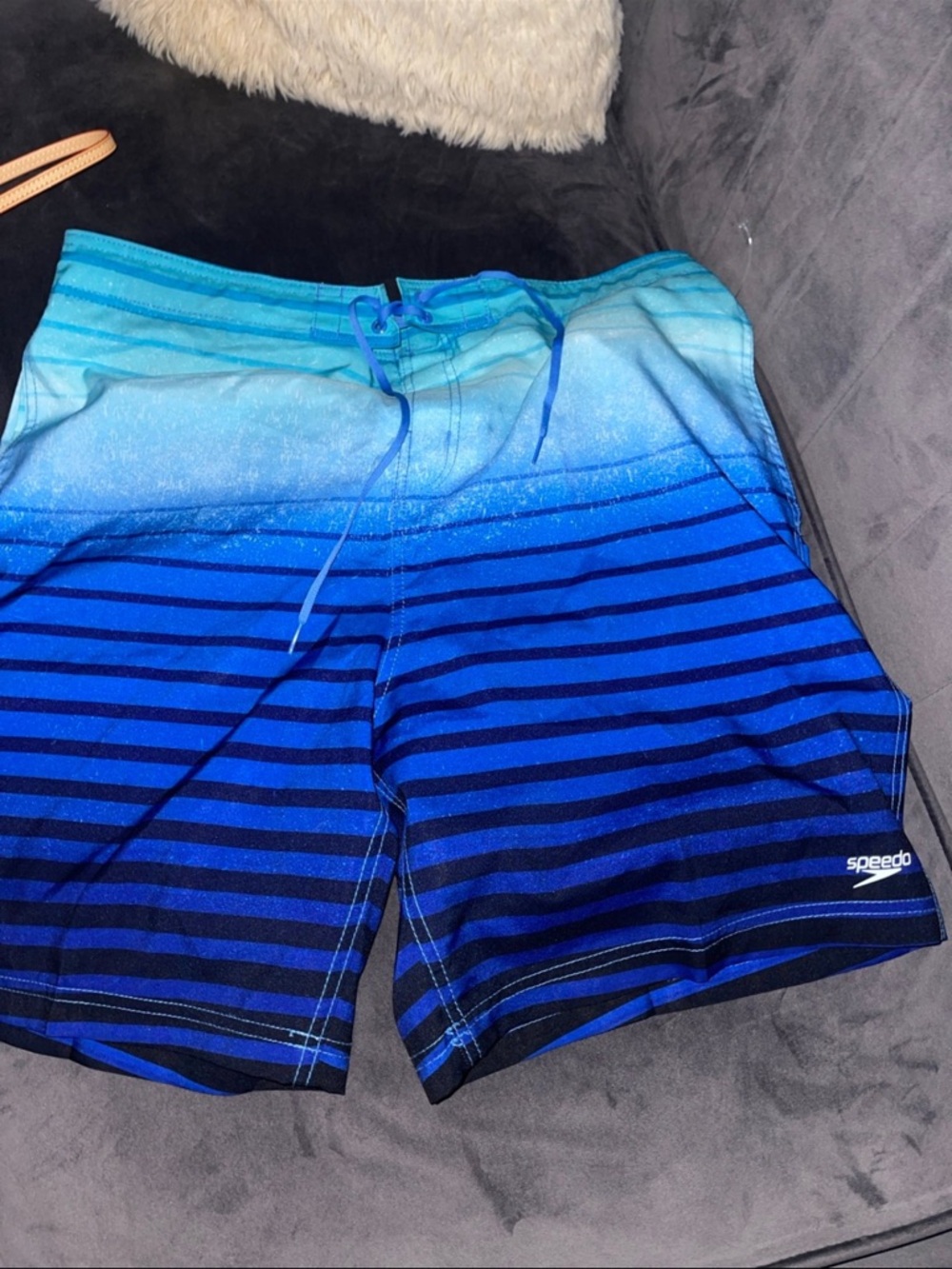 Speedo Men's Blue Gradient Stripe Swim Trunks
